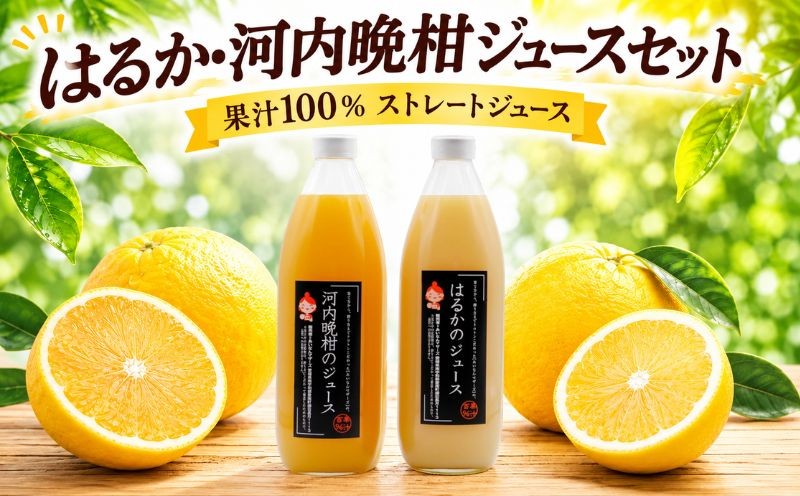 
                  【選べる容量】果汁100% ストレートジュース はるかジュース 河内晩柑ジュース 2本 3本 6本 セット1本 1000ml 数量限定 期間限定 高級 贈答 ギフト プレゼント 母の日 おやつ 国産 フルーツ 果物 柑橘 産地直送 農家直送 特産品 完熟 濃厚 人気 限定 甘い こどもの日 ジューシー 新鮮 果実 さわやか 愛媛県 愛南町 あいなんマザーズ 
                