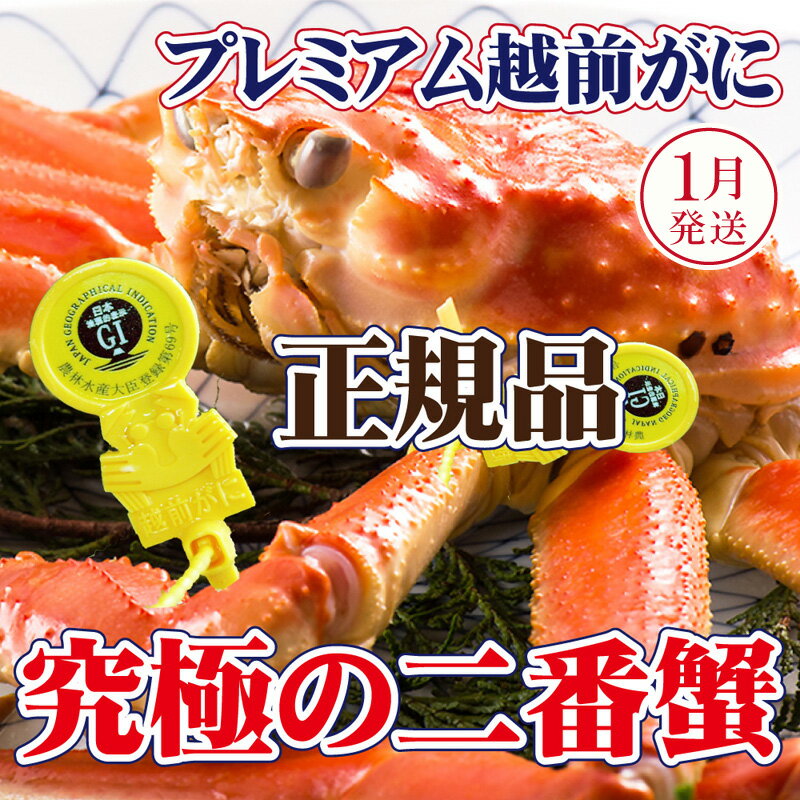 【ふるさと納税】越前がに × 1杯（二番蟹）桐箱入り！究極のプレミアム越前がに【雄 ズワイガニ かに カニ 蟹 姿 生 ボイル 冷蔵 福井県】【1月発送分】希望日指定可 備考欄に希望日をご記入ください [e37-x009_01]