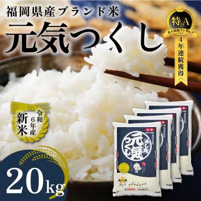 ふるさと納税 田川市 新米!!令和6年産 福岡県産米 元気つくし 合計20kg(5kg×4袋)(田川市) | 
