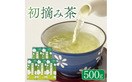 【5月中旬以降発送】 新茶 藤枝産 初摘み 500g 茶 お茶 初摘み茶 緑茶 日本茶 静岡茶 藤枝茶 静岡県 藤枝市