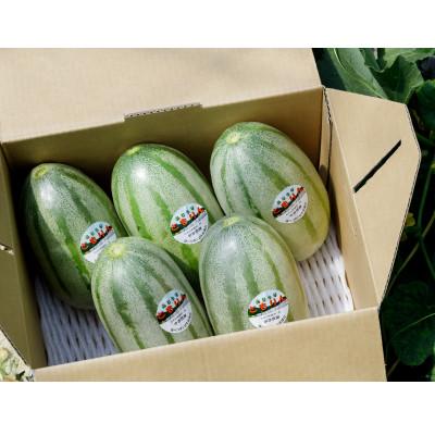 ふるさと納税 むかわ町 【2026年発送】ともりん(カンロ)4kg(4〜5玉)【JAとまこまい広域取扱　むかわ町穂別特産品】