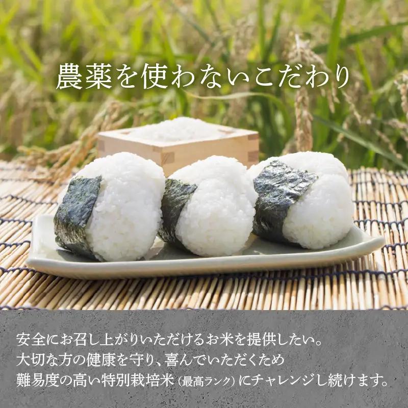 【先行予約】【令和8年産 新米】伊与衛門農園のコシヒカリ 玄米 10kg 特別栽培米 5kg×2袋 化学肥料不使用 ＜温度と湿度を常時管理し新鮮米を出荷！＞／ 高品質 鮮度抜群 福井県あわら産 ブラン