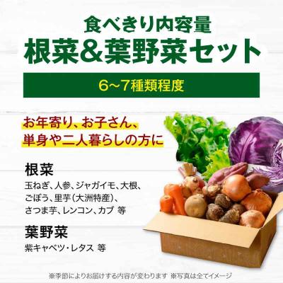 ふるさと納税 大洲市 【全12回定期便】  根菜×葉野菜 6から7種 単身・二人暮らし用セット [AGBX054] |  | 01
