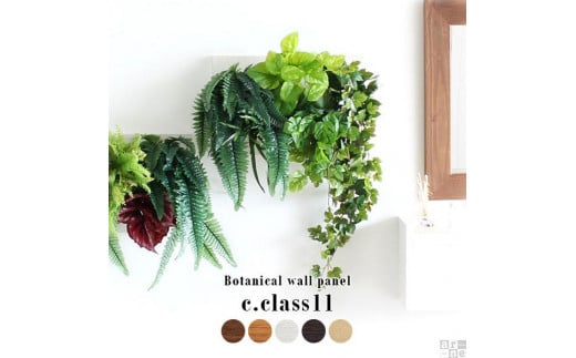 Botanical c.class 11　北欧チーク