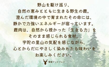冷凍 塩糀漬け鹿肉 鹿の花 (120g×5袋)／ ジビエ 焼肉 味付き肉 簡単調理 国産 琴弾アンナプルナ 奈良県 宇陀市 ふるさと納税