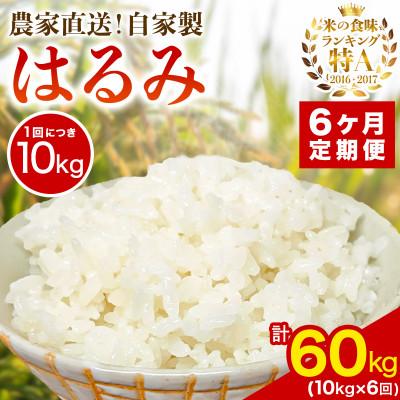 ふるさと納税 伊勢原市 【発送月固定定期便】11月下旬から出荷予定　合計60kg 精米 はるみ10kg全6回