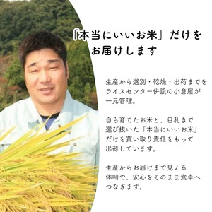 【令和7年産】新見庄米 コシヒカリ 白米 10kg （10kg×1袋）