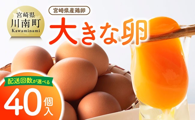 
                  ※回数が選べる※ 宮崎県産鶏卵　「南国からの贈り物」大きな卵40個入り（35個+破損補償5個） 【たまご 卵 玉子 タマゴ 料理 鶏卵 オムレツ オムライス 卵かけご飯 たまご焼き 国産 すき焼き おいしい卵 黄身 新鮮 生卵 産みたて 鮮度 弾力 ハリ ツヤ 生 人気 毎日 自然】
                