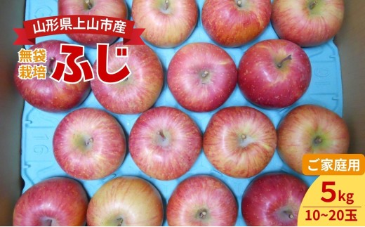 りんご（ふじ）５ｋｇ　ご家庭用　0017-2630