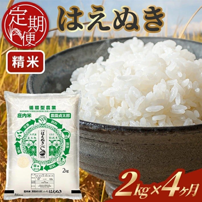 
            ≪4ヶ月定期便≫ はえぬき 精米 2kg×4ヶ月連続 計8kg 令和7年産 山形県産 毎月下旬にお届け 精米 白米 庄内米 米 ごはん ご飯 一人暮らし 少人数 小分け 酒田市 庄内 山形県 東北 定期便 4回 農園貞太郎　SD0220
          