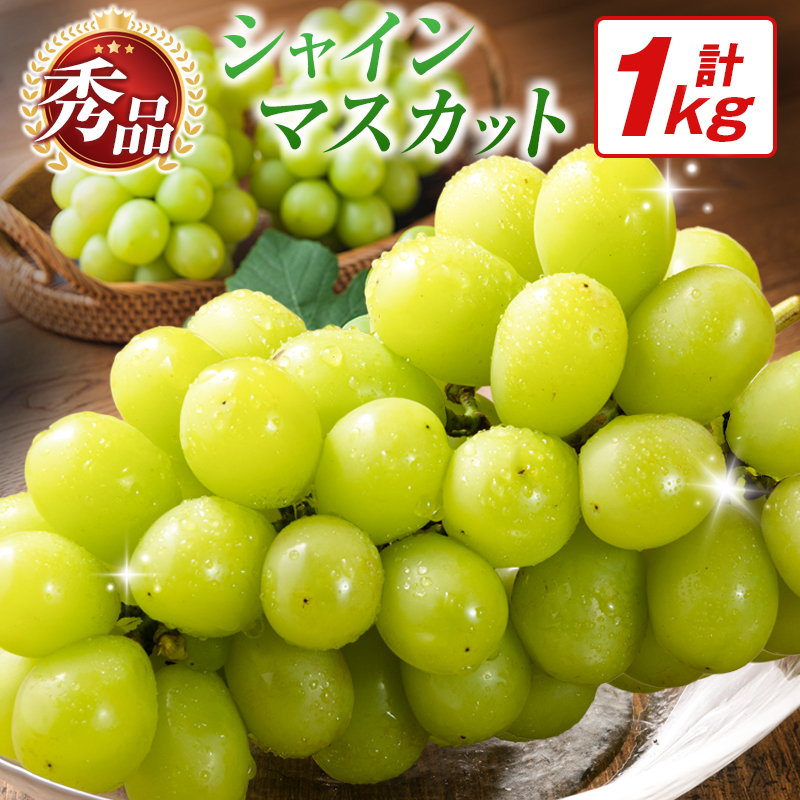 【令和9年発送 先行予約】小林市産 シャインマスカット 1kg（ブドウ ぶどう シャインマスカット マスカット フルーツ 果物 先行受付）