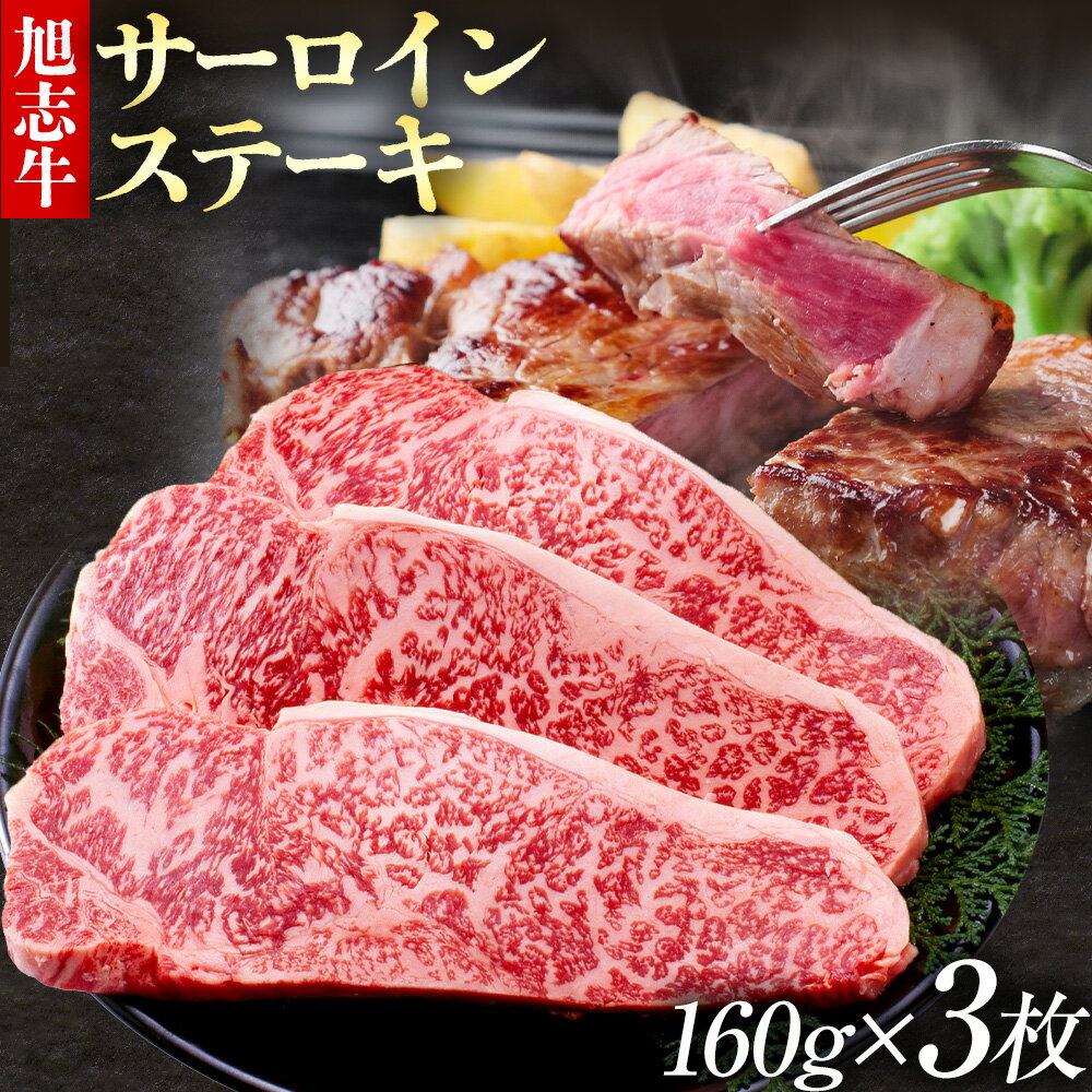 【ふるさと納税】旭志牛 サーロインステーキE 160g×3枚 合計480g 有限会社旭志村ふれあいセンター《90日以内に出荷予定(土日祝除く)》お肉 牛肉 サーロイン ステーキ 菊池ブランド牛 冷凍 送料無料