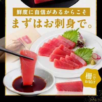 ふるさと納税 泉佐野市 キハダマグロ 合計 1kg 柵 5-7本 冷凍まぐろ 訳あり サイズ不揃い 015B291 |  | 03