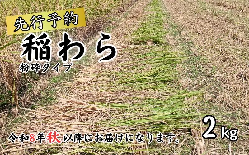 岩美町産コシヒカリの稲わら （粉砕タイプ）２kg｜鳥取 岩美 稲わら わら 藁 家庭菜園 先行予約 お届けは2026年10月～【34006】