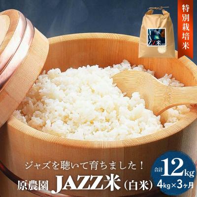 ふるさと納税 玖珠町 令和7年産 原農園 JAZZ米 白米 4kg 3回定期便 にこまる