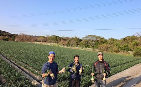 淡路島産玉ねぎ7kg 兵庫県 洲本市 淡路島