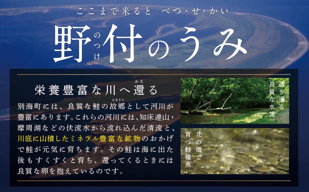 【訳あり】「秋鮭の切り身（無塩）」1.4kg【BT000MD04】