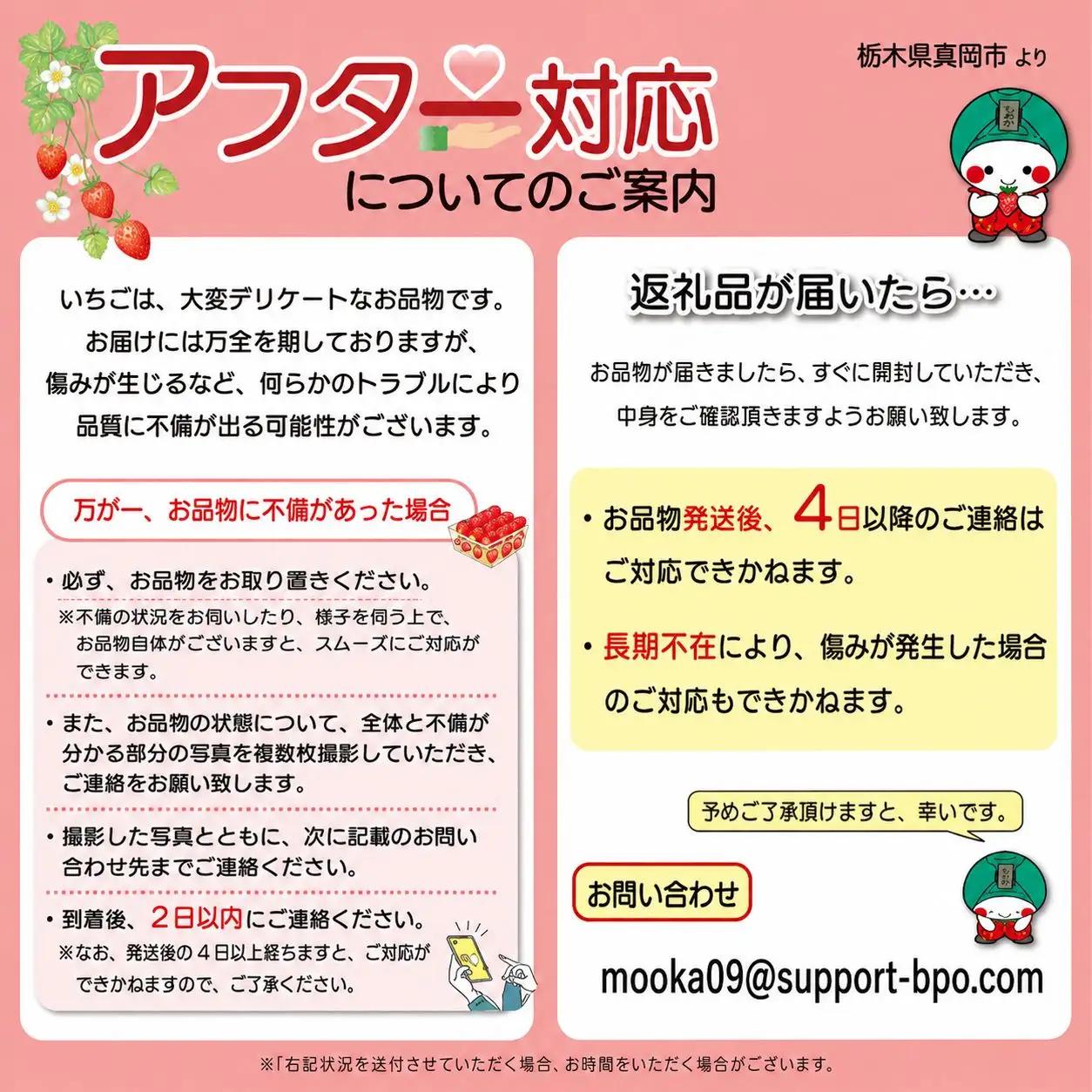 スカイベリー（贈答向け）【1月発送】280ｇ×2p 真岡市 栃木県 送料無料