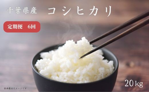 【定期便6回】《 令和7年産 》千葉県産コシヒカリ20kg ／ 米 こめ コメ お米 おこめ コシヒカリ こしひかり 令和7年 新米 白米 精米 ごはん 20kg 定期便 送料無料