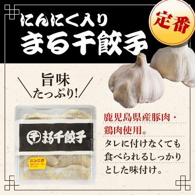 ふるさと納税 鹿児島市 まる千餃子詰め合わせ 合計70個 |  | 01