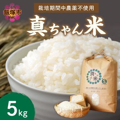 ふるさと納税 飯塚市 【令和7年産】栽培期間中農薬・化学肥料不使用 真ちゃん米(精米) 5kg