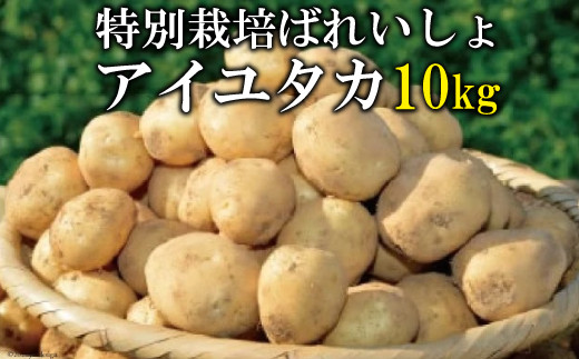 
【期間限定発送】 じゃがいも 春作産 特別栽培ばれいしょ アイユタカ 10kg 箱 [小浜特別生産組合 長崎県 雲仙市 item1770] ジャガイモ 野菜 春じゃがいも 春じゃが 10キロ 期間限定
