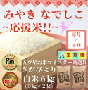 【ふるさと納税】【みやきなでしこ】応援米【6回定期便】さがびより白米6kg（3kg×2袋）（CI380）