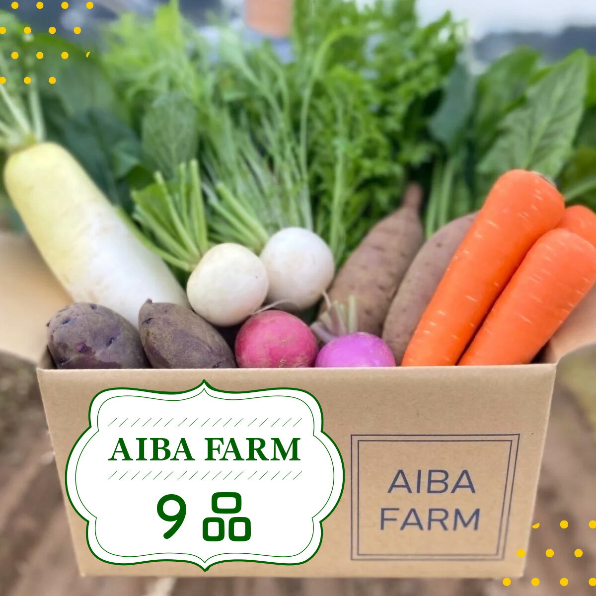 【ふるさと納税】【栽培期間中農薬不使用】 農家直送！季節の新鮮野菜「9品」詰め合わせセット AIBA FARM 野菜セット 無農薬 野菜 千葉県 富里市 直送野菜 お野菜セット 旬野菜 季節野菜 農家直送 採れたて とれたて やさい 詰め合わせ セット TML001