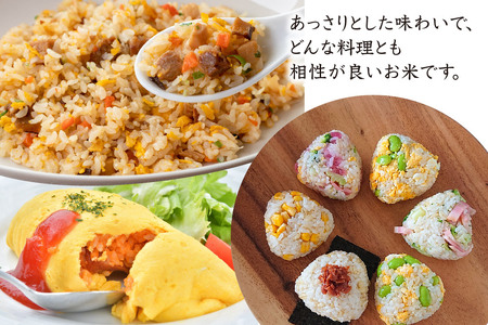 【令和7年産】ひのひかり 精米 10kg【3ヶ月定期便】(H061880)