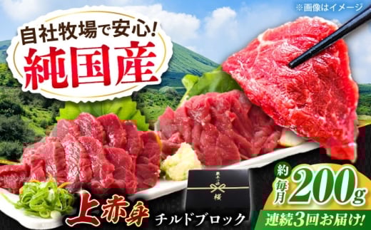 【全3回定期便】『純国産』熊本の味 上赤身 馬刺し 約200g ブロック / 熊本 馬刺し ばさし バサシ 馬肉 赤身 国産 ヘルシー プレゼント チルド 冷蔵 定期便 【有限会社 九州食肉産業】 [AYCN039]