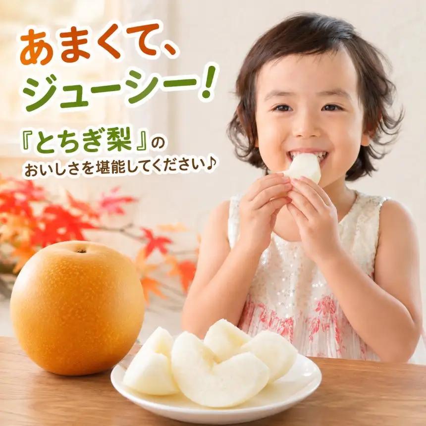 梨 新高 秀品 3kg 【栃木県共通返礼品】栃木県産