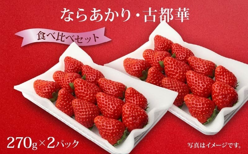 いちご ならあかり 古都華 セット 2027年 発送（270g×2パック）予約受付中 数量限定 早期終了 予定あり 家庭用 イチゴ 先行予約 苺 奈良ブランド苺 ブランド 古都華 大粒 苺 旬 産地 直送 フレッシュ 新鮮 フルーツ 果物 くだもの 萩原いちご農園 奈良県 奈良市