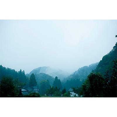 ふるさと納税 能登町 【毎月定期便】こりゃまいじゃ(能登町柳田産コシヒカリ)2kgと5kgを交互に!全12回 |  | 02