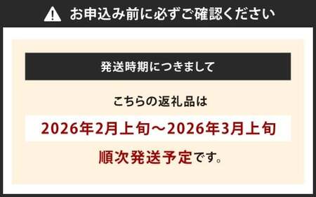 福岡県産 博多あまおう 約1.12kg (約280g×4パック入り)【2025年1月下旬～3月下旬発送予定】 いちご 苺 果物 フルーツ