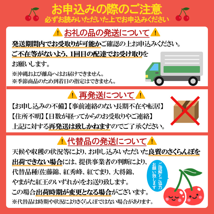 山形市産 さくらんぼ 温室栽培【やまがた紅王 特秀品】2L・