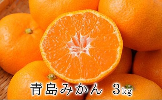 
                  【2027年1月中旬より順次発送】甘さと酸味がマッチ　青島みかん3kg
                