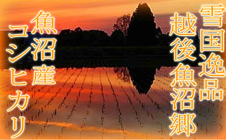 【令和7年産　新米先行受付】雪国逸品 精米2kg 越後魚沼郷 魚沼産コシヒカリ 米 コメ こめ お米 おこめ 白米 こしひかり 新潟県産 人気 お取り寄せ