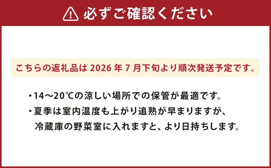 やっちろバナナ（汐バナナ）20本セット 【2026年7月下旬発送開始】