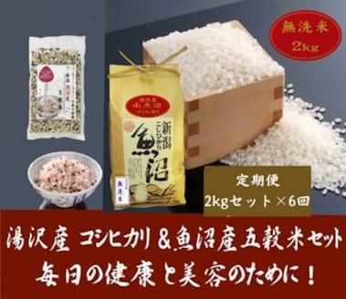 【6ヶ月定期便】令和5年産 湯沢産コシヒカリ＜無洗米＞2㎏と「日本で唯一」魚沼産五穀米セット200g 魚沼最上流域 魚沼産コシヒカリ