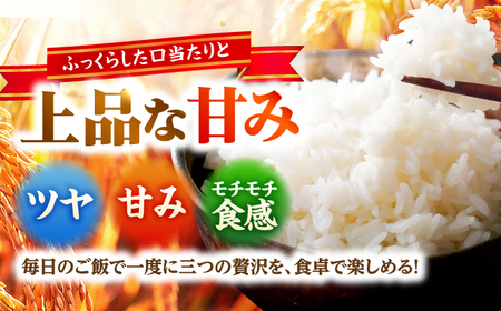 小浜市産 いちほまれ 2kg×3袋 合計6kg 福井県 ブランド米 / 白米 精米 甘みとつや 小浜市 / シマダ農園[BFAV014]