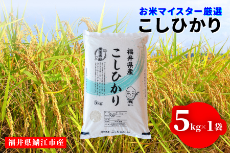 【寄付額見直し】【令和7年産】コシヒカリ10kg（5kg × 2袋）