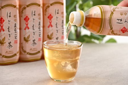 [J023]【定期便】能登のはとむぎ茶（500ml)24本セット×12回コース