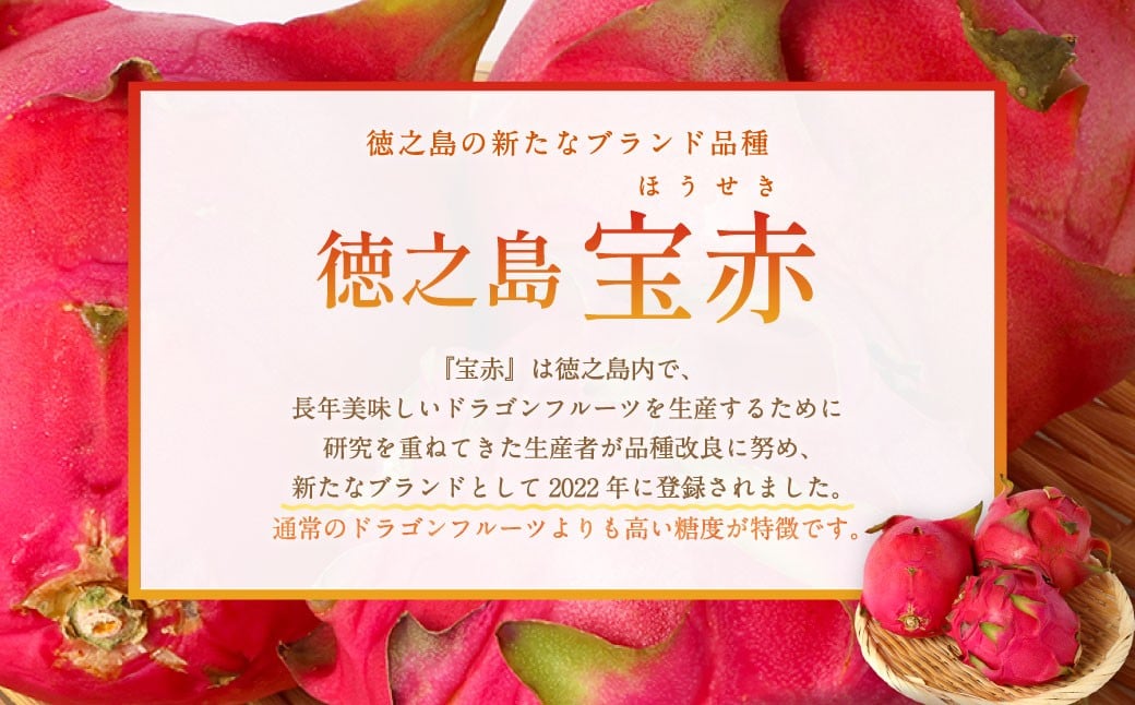 徳之島 天城町産 ドラゴンフルーツ 赤玉 