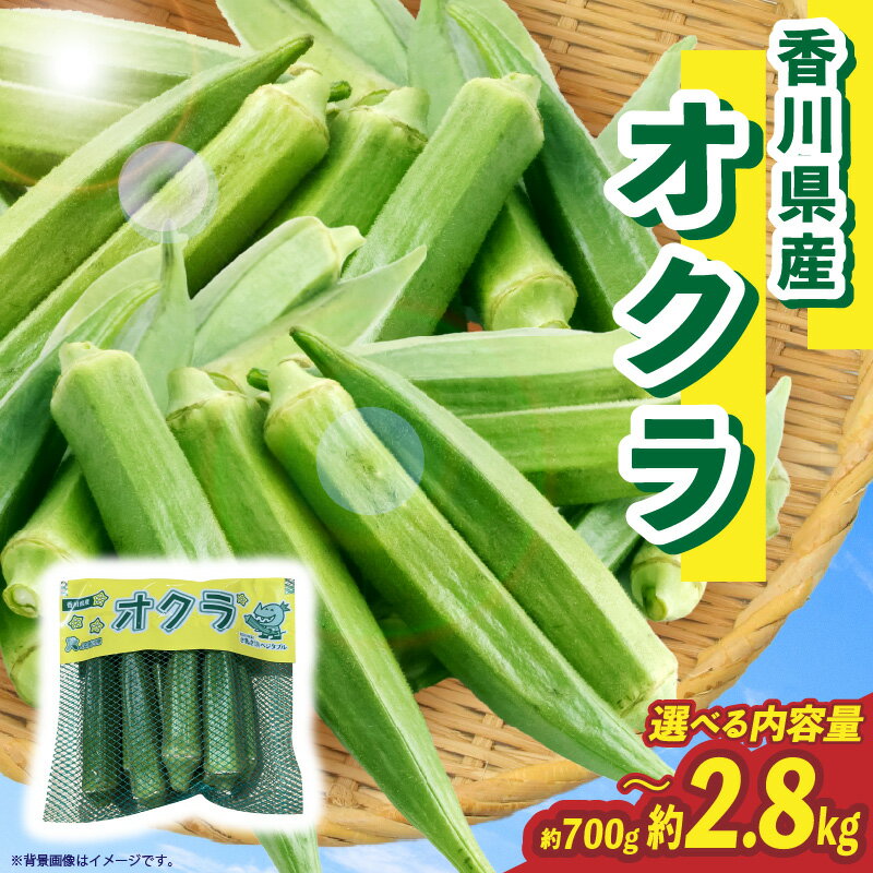【ふるさと納税】【選べる内容量】オクラ 約700g～2.8kg