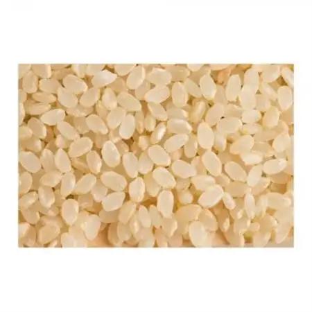 【令和7年産】ヒノヒカリ　玄米5kg【1443670】