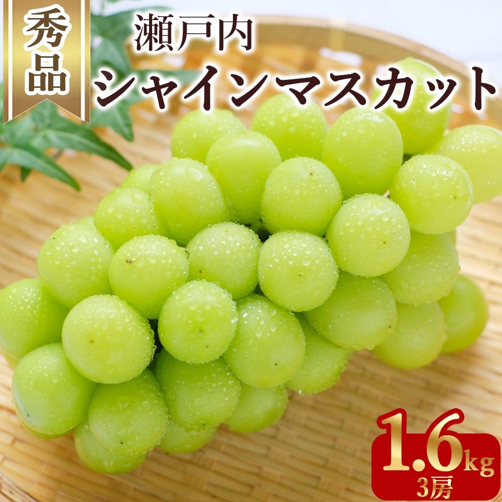 
            【ふるさと納税】期間限定 シャインマスカット 1房(約600g)～最大9房(約4.4kg以上) [ フルーツ 果物 ぶどう マスカット 美味しい 旬 糖度 皮ごと 種なし 送料無料 食品 大粒 訳あり 贈答用 ギフト 三豊市 五色青果 返礼品]【配送不可地域：北海道・沖縄県・離島】
          