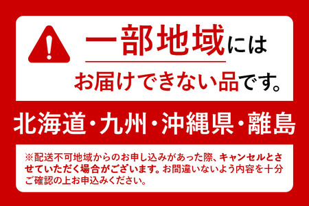 《定期便2ヶ月》健康ミネラルむぎ茶 伊藤園 ＜1L×12本＞【2ケース】