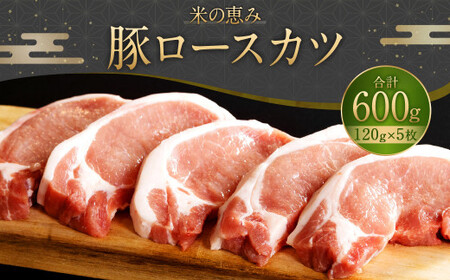 093-1019 豚ロースカツ 600g（120g×5枚）