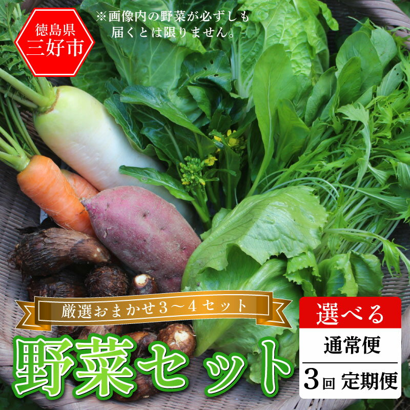 【ふるさと納税】 野菜 詰め合わせ おまかせ セット 3～4種 旬の野菜 1回便 定期便 スイートコーン とうもろこし じゃがいも 玉ねぎ さつまいも すいか やさい サラダ 鍋 煮物 スムージー 野菜ジュース おでん 新鮮 徳島県産 送料無料 徳島県 三好市 みよし 篠原農園