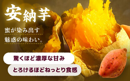 選べる品種/ 焼き芋 安納芋 4kg (8～12本) さつまいも 焼きいも おやつ 愛西市 / 就労継続B型事業所ヤシの木[AEDG006]